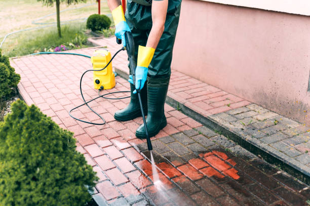 Best Warehouse Cleaning  in Verona, MS
